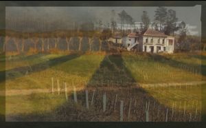 REGARDS_01 REGARDS_01